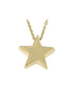 Symbol necklace 'Star' 14ct yellow gold